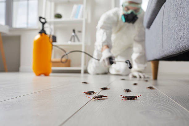 Commercial Kitchen Cockroach Control in East Palatka